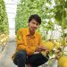 Yusuf Kurniawan Anak Muda Bengkulu Bangun Pertanian Cerdas, Ciptakan Melon Bermotif Rafflesia Pertama di Bengkulu