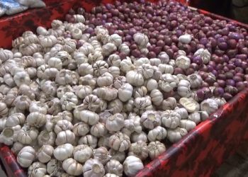 Prabowo Luncurkan Program Sekolah Terintegrasi Nasional dengan Fasilitas Lengkap Setara Negara Maju