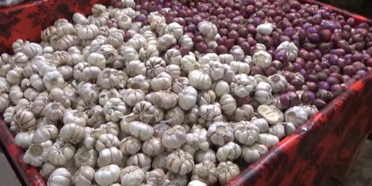 Prabowo Luncurkan Program Sekolah Terintegrasi Nasional dengan Fasilitas Lengkap Setara Negara Maju