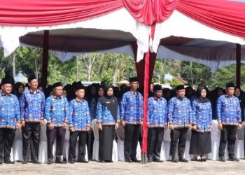 Mukomuko Kebut Pengusulan NIP, 1.875 Honorer Segera Resmi Jadi PPPK Paruh Waktu