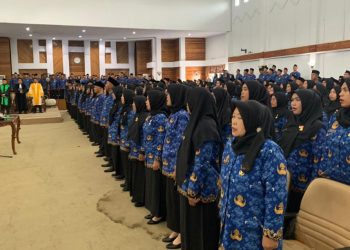 4.009 PPPK Paruh Waktu Pemprov Bengkulu Kantongi Pertek, Satu Peserta Undur Diri