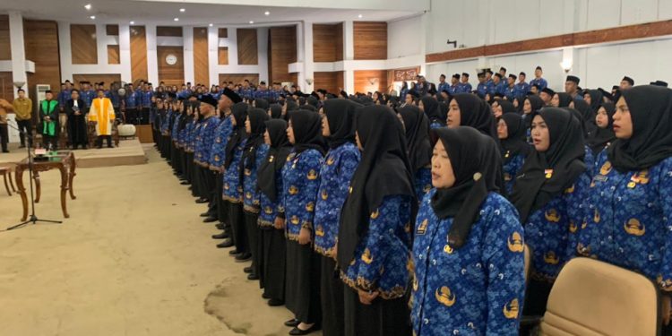 4.009 PPPK Paruh Waktu Pemprov Bengkulu Kantongi Pertek, Satu Peserta Undur Diri