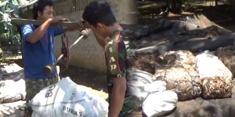 Hasil Panen Anjlok, Petani Karet Harap Harga Tak Ikut Turun di Bengkulu Utara