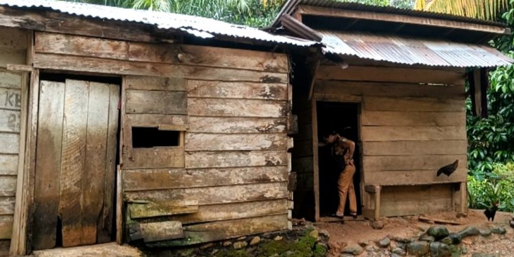 Seleksi Dikbangum Polda Bengkulu 2026 Resmi Dimulai, Pakta Integritas Jadi Komitmen Bersama