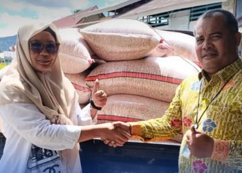 Bulog Serap 39,45 Ton Jagung Petani: Harga Pakan Ternak Dijamin Stabil
