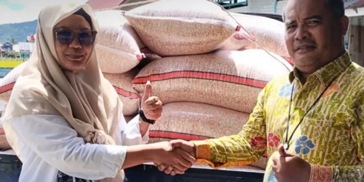 Bulog Serap 39,45 Ton Jagung Petani: Harga Pakan Ternak Dijamin Stabil