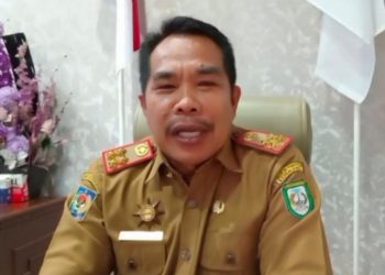 691 Lolos PPPK, Ratusan Honorer Non Database Kepahiang Terancam Dirumahkan