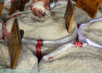 Harga Beras Turun Menjelang Nataru, Satgas Pastikan Sesuai HET di Seluruh Bengkulu