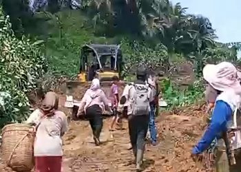 HMI Desak Izin PT ABS Dicabut, Penembakan 5 Petani Disebut Tragedi Agraria Brutal