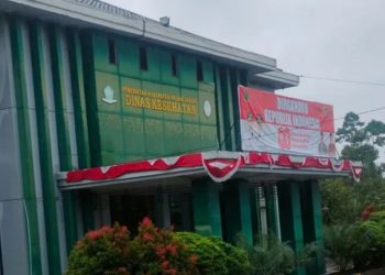 Dinkes Rejang Lebong Catat 611 ODGJ Berat, Masalah Kesehatan Jiwa Semakin Mendesak