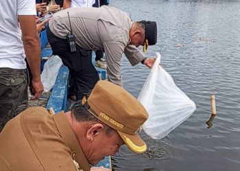 33 Ribu Benih Ikan Nilem Ditebar, Bengkulu Selatan Mulai Bangun Ekowisata Perikanan