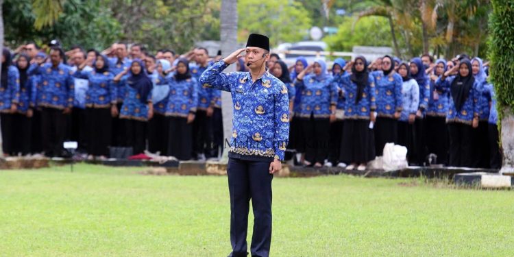 TPP ASN Kaur Dipastikan Aman 2026, Tak Terpengaruh Pemangkasan Anggaran Pusat