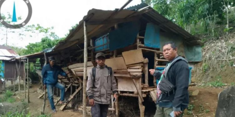 Ternak Warga Dimangsa Harimau, BKSDA Intensifkan Patroli di Lebong Utara