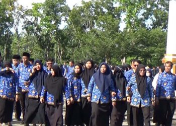 Ketidakpastian Honorer Non-Database di Mukomuko Mengular, Tokoh Pemuda Desak Bupati Gunakan Diskresi
