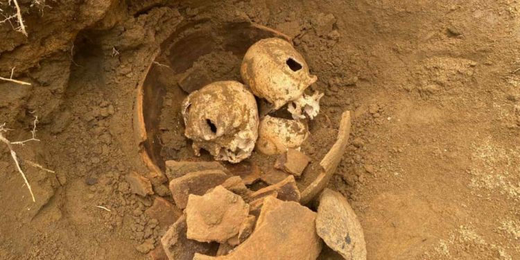 Geger Temuan Tiga Tengkorak dalam Kendi, Polisi Telusuri Misteri di Kepahiang