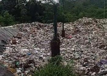 307 PPPK Resmi Dilantik, 18 Gugur: Bupati Fikri Tegaskan Disiplin Tanpa Kompromi