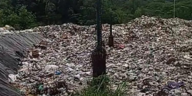 307 PPPK Resmi Dilantik, 18 Gugur: Bupati Fikri Tegaskan Disiplin Tanpa Kompromi