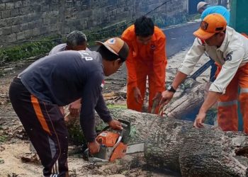 BPBD Rejang Lebong Siaga Penuh, Warga Diminta Waspadai Ancaman Angin Kencang