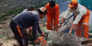 BPBD Rejang Lebong Siaga Penuh, Warga Diminta Waspadai Ancaman Angin Kencang