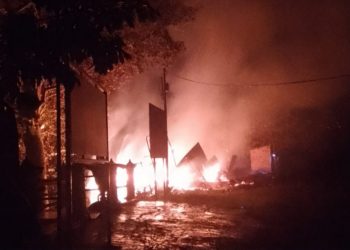 Satu Rumah di Taman Konservasi Rafflesia Liku 9 Terbakar, Dugaan Kesengajaan Muncul