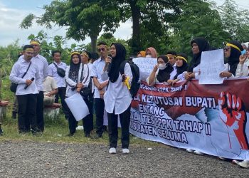 PPPK Tahap II Tertunda, Ratusan Tenaga Honorer Seluma Berpotensi Menganggur Awal 2026