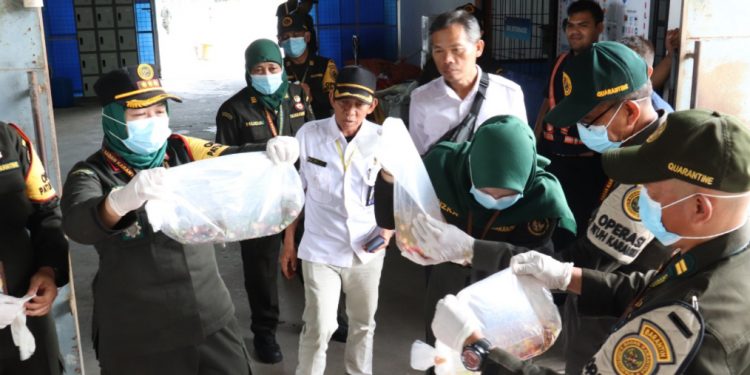 Temukan Komoditas Tanpa Sertifikat, Karantina Bengkulu Perketat Pengawasan Nataru