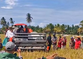Genjot Ketahanan Pangan, Bengkulu Selatan Siap Terapkan Panen Padi Tiga Kali Setahun