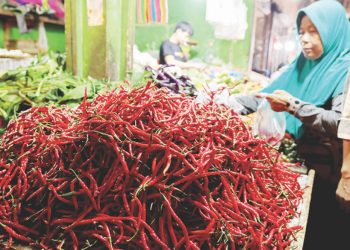 Sempat Tembus Rp80 Ribu, Harga Cabai Merah di Bengkulu Mendadak Turun Jelang Tahun Baru