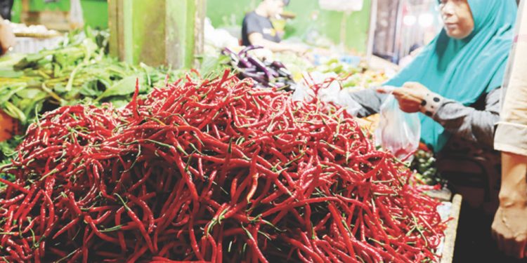 Sempat Tembus Rp80 Ribu, Harga Cabai Merah di Bengkulu Mendadak Turun Jelang Tahun Baru