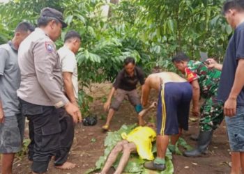 Tak Ada Lagi Jalan Berlubang, Pemkot Bengkulu Anggarkan Rp210 Miliar untuk Infrastruktur 2026