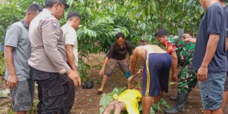 Tak Ada Lagi Jalan Berlubang, Pemkot Bengkulu Anggarkan Rp210 Miliar untuk Infrastruktur 2026