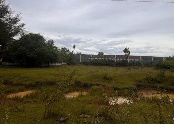 Miris! Stadion Padang Panjang Terbengkalai, Aset Olahraga Bengkulu Selatan Terlupakan