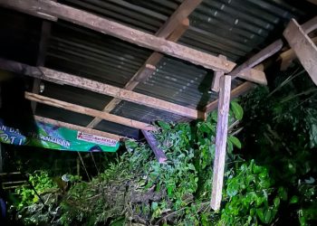 Tebing Longsor Hantam Rumah Warga Kepahiang, BPBD Imbau Waspada Cuaca Ekstrem