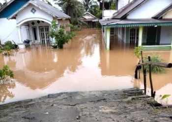 Banjir Meluas di 4 Wilayah Bengkulu Tengah, BPBD Turunkan Personel dan Perahu Evakuasi