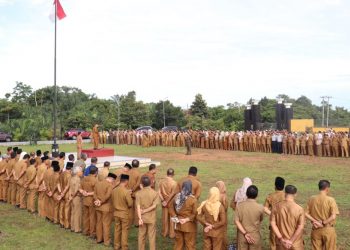 TPP ASN Bengkulu Tengah Dibayar 7 Bulan, Pemkab Siapkan Skema Penyesuaian 2026