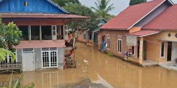 Pemprov Bengkulu Prioritaskan Pembenahan Drainase Rawa Makmur pada 2026