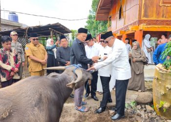 Serahkan Kerbau Jelang Umbung Kutei, Bupati dan Pimpinan DPRD Kepahiang Terima Gelar Adat