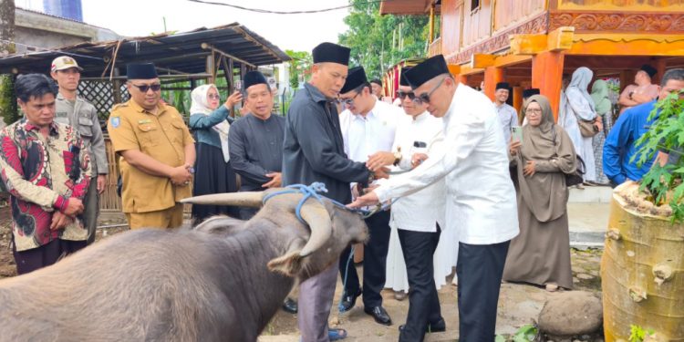 Serahkan Kerbau Jelang Umbung Kutei, Bupati dan Pimpinan DPRD Kepahiang Terima Gelar Adat