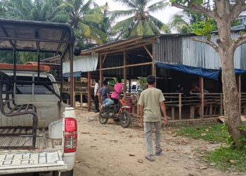 Warem Tak Berizin Dibongkar, Pemkab Bengkulu Selatan Respons Keluhan Warga