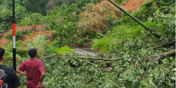 Hujan Deras Picu Longsor, Jalan Provinsi Bermani Ilir–Seberang Musi Lumpuh Total