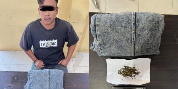 Pantau Pasar Tradisional, Pemkab Mukomuko Jaga Stabilitas Harga Bahan Pokok