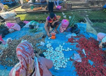 Pantau Pasar Tradisional, Pemkab Mukomuko Jaga Stabilitas Harga Bahan Pokok