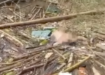 Geger Penemuan Mayat di Aliran Sungai Desa Tertik Kepahiang, Identitas Masih Misterius