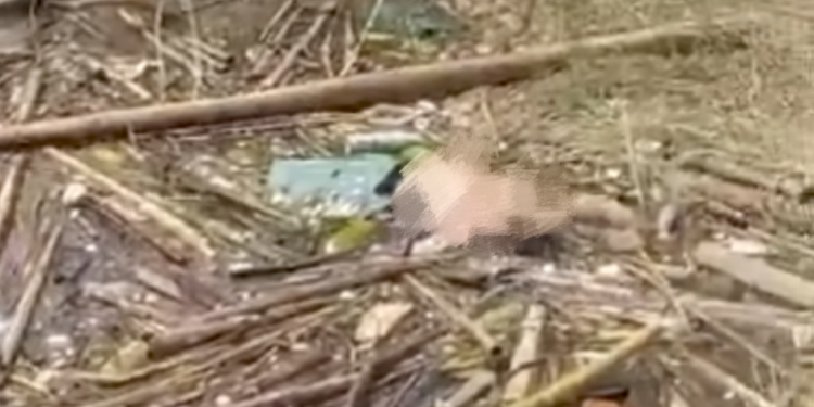 Geger Penemuan Mayat di Aliran Sungai Desa Tertik Kepahiang, Identitas Masih Misterius