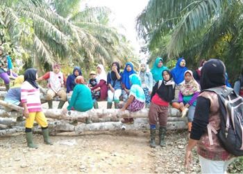 UMK Mukomuko Resmi Naik Rp3,2 Juta, Nakertrans Ingatkan Perusahaan Wajib Patuh