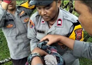 Penemuan Bayi Perempuan di Bawah Jembatan Padang Guci, Ini Kronologinya
