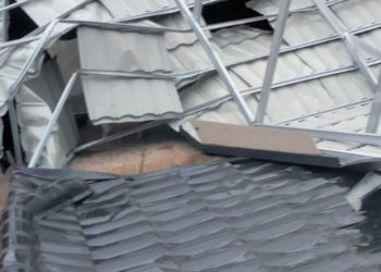 Bengkulu Dilanda Cuaca Ekstrem, Pohon Tumbang dan Atap Rumah Terbang