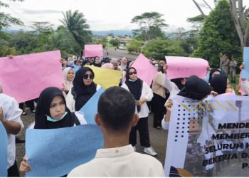 Belanja Pegawai Tembus 44 Persen, Nasib Honorer Seluma di Ujung Tanduk