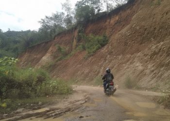 Retribusi Parkir Lebong Disorot, Pemkab Siapkan Skema Baru Cegah Kebocoran PAD
