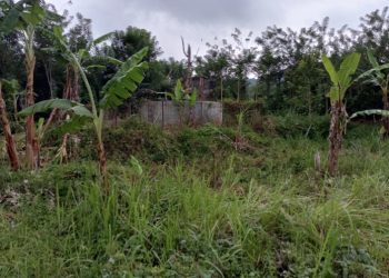 Proyek Air Bersih Tak Pernah Mengalir, Bangunan Miliaran di Kepahiang Jadi Sarang Semak